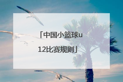 「中国小篮球u12比赛规则」U12路人王比赛规则
