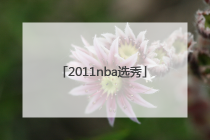 「2011nba选秀」2011年nba选秀视频完整版