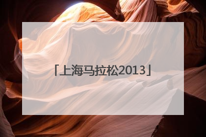 「上海马拉松2013」上海马拉松2022年报名费用