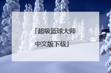 「超级篮球大师中文版下载」超级篮球大师下载入口